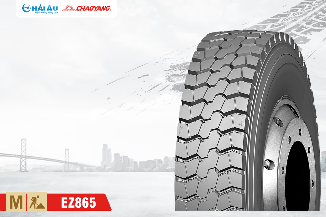 Lốp Xe ChaoYang EZ865 11.00R20